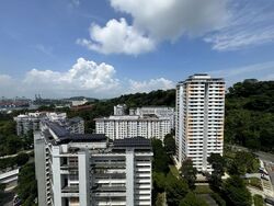 Blk 37 Telok Blangah Rise (Bukit Merah), HDB 5 Rooms #579775231